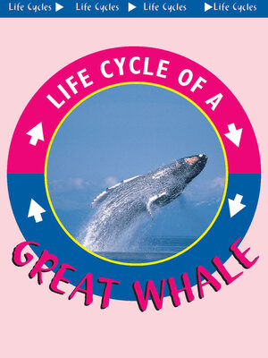 cover image of Great Whale